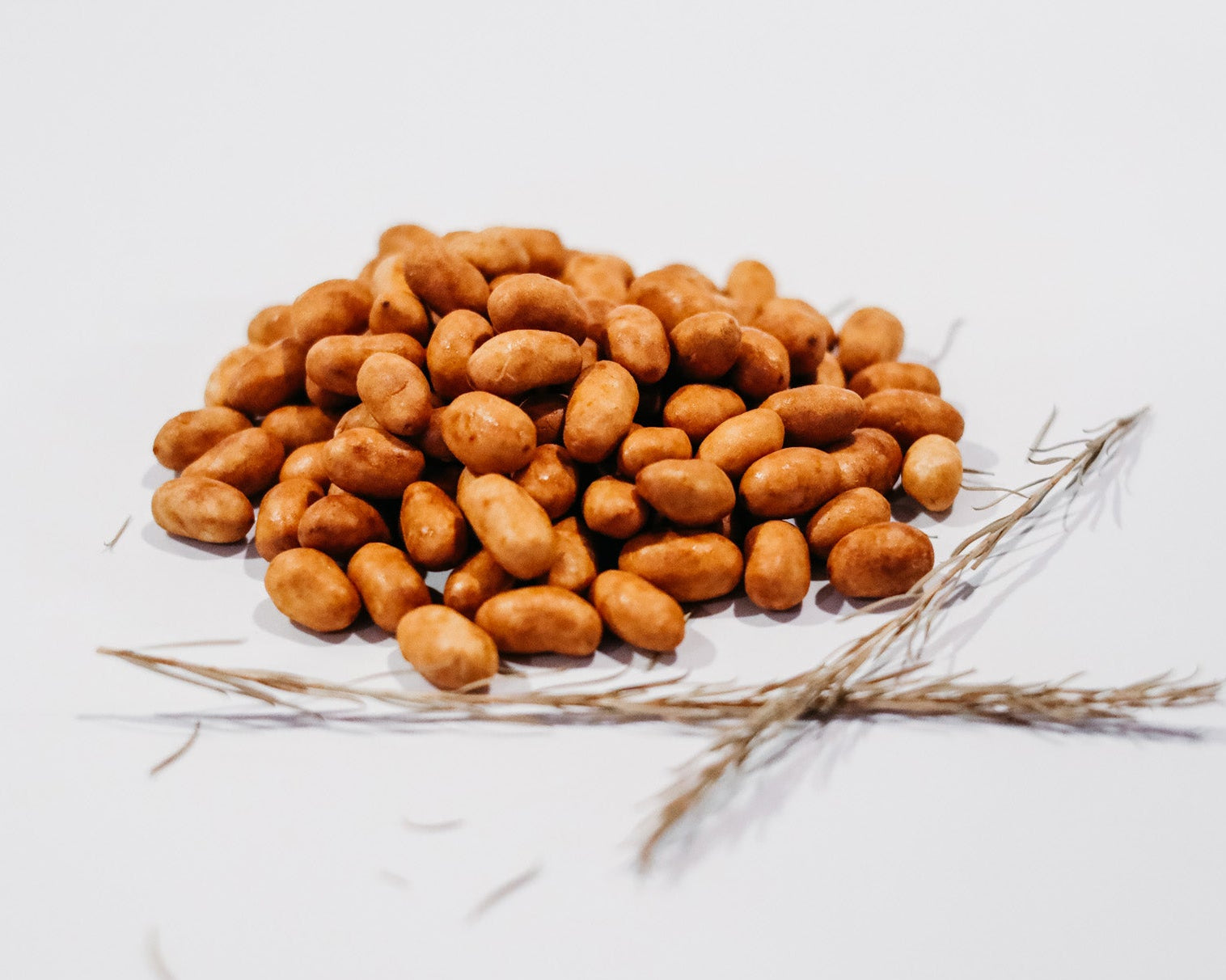 Beer Lover's Nut of the Month Club (from $27.49/mo.)